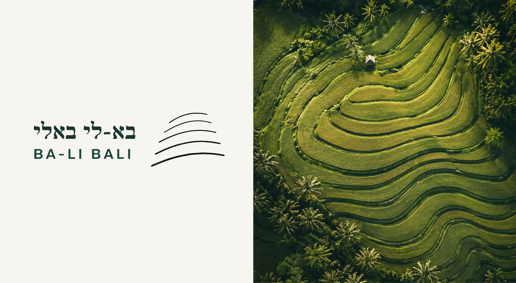 חבילות טיול לבאלי — 14 עד 21 ימים | בא-לי באלי