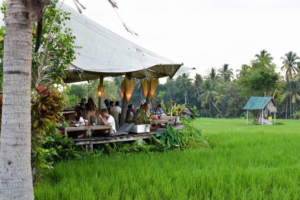 Ubud Vibe 2