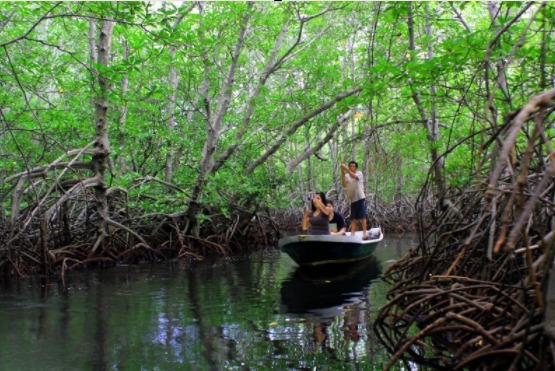 Lembongan Mangrove